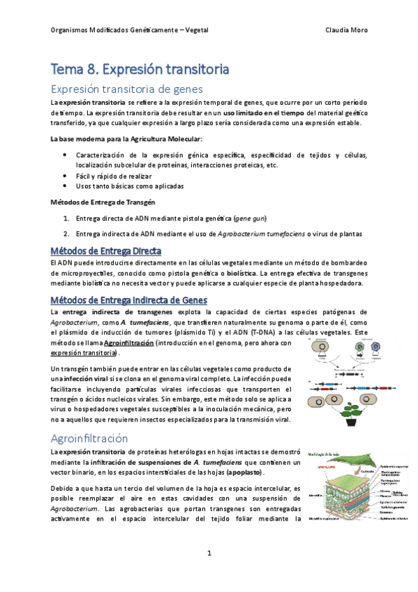 Tema-8.pdf