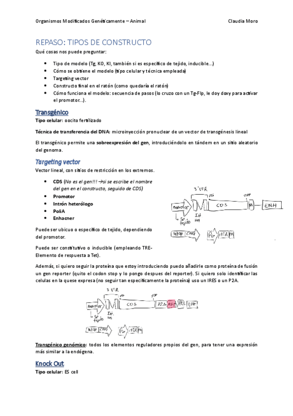 Repaso-tipos-de-constructo.pdf