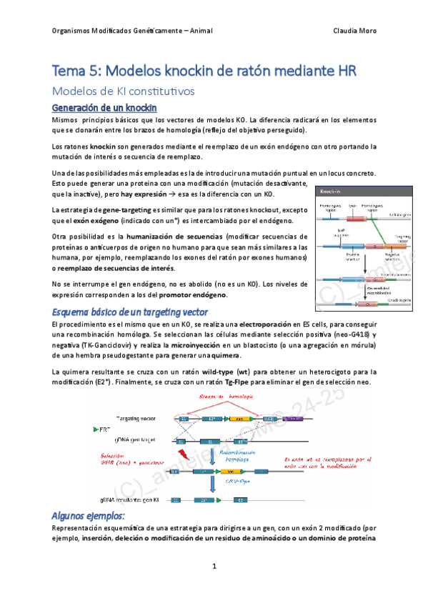 Tema-5.pdf