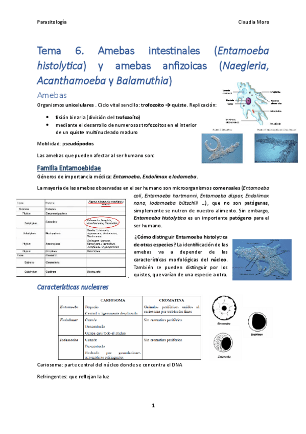 Tema-6.pdf