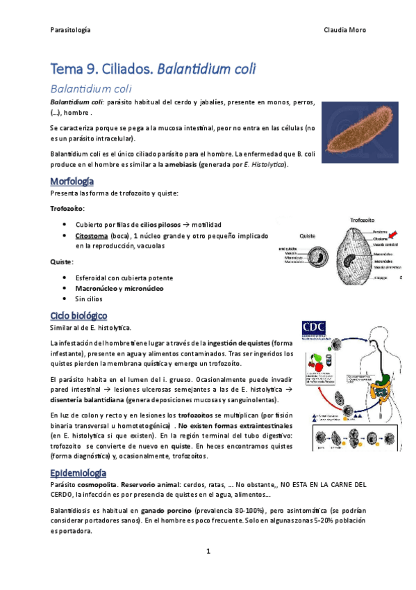 Tema-9.pdf