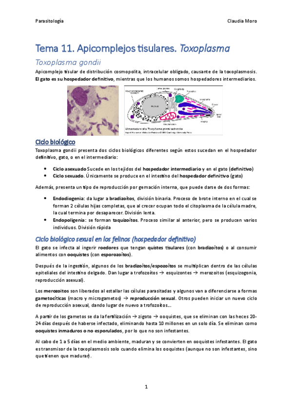 Tema-11.pdf