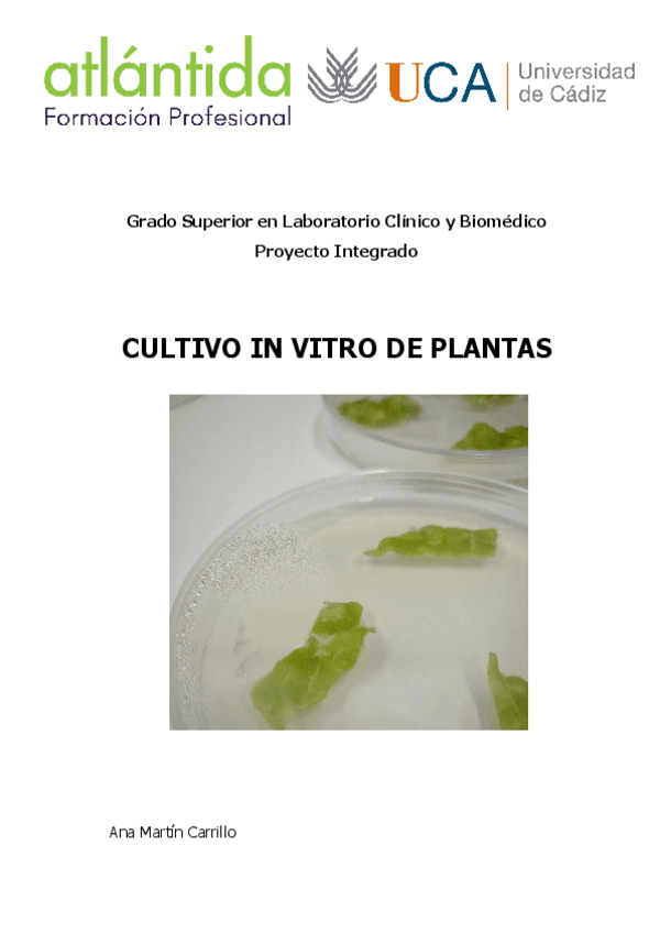 ProyectoIntegrado.pdf