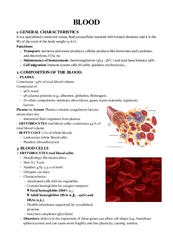 5.-Blood.pdf