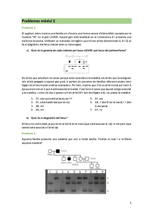 Problemes-modul-2.pdf