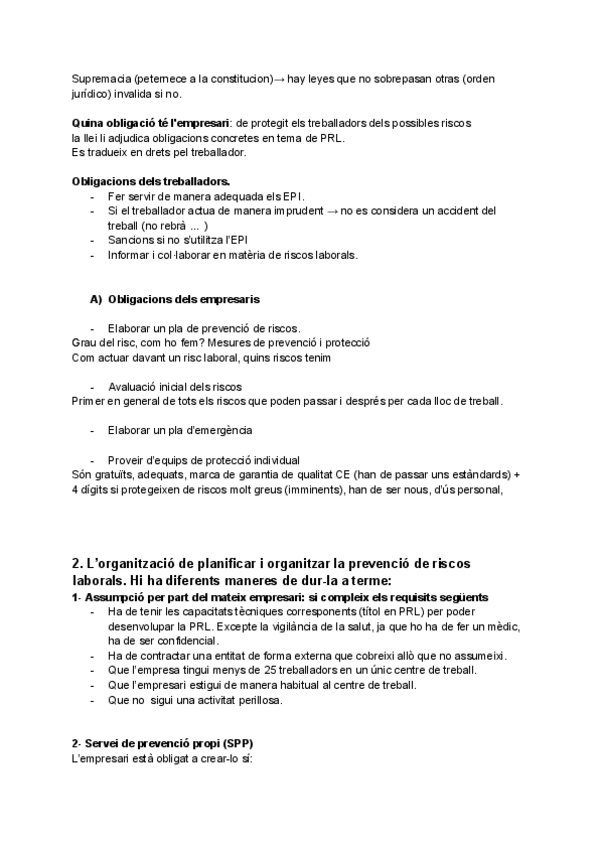 Planificacio-i-organitzacio-de-la-PRL.pdf