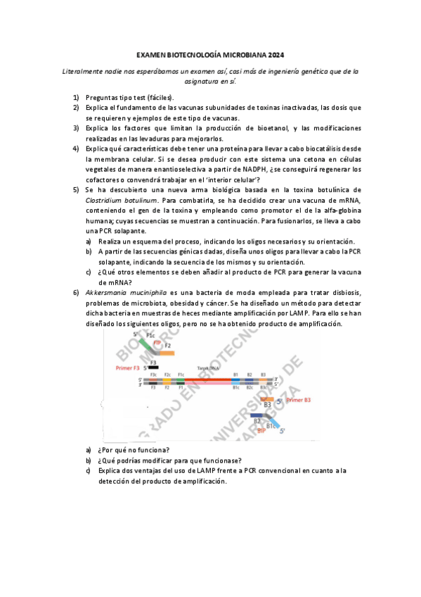 EXAMEN-BIOTECNOLOGIA-MICROBIANA-2024.pdf