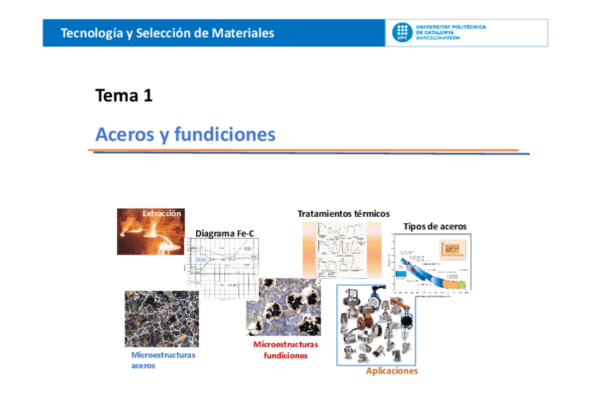 TODA-TEORIA-TSM.pdf