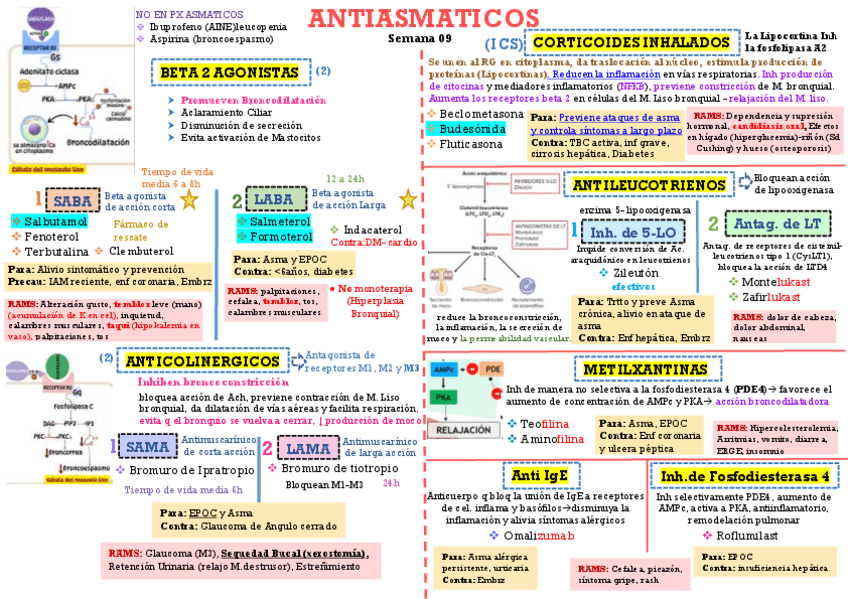 ANTIASMATICOS.pdf