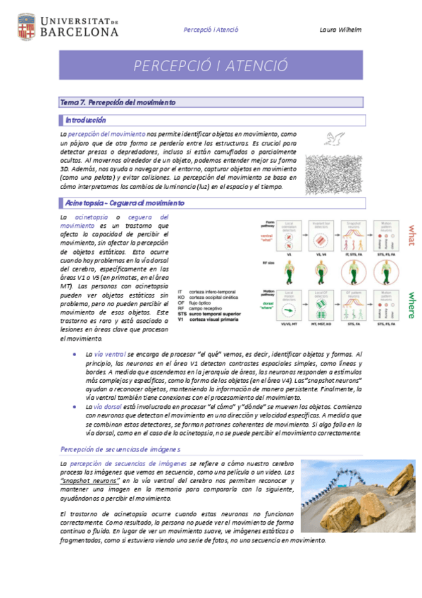 Tema-7-Percpecion-del-movimiento.pdf