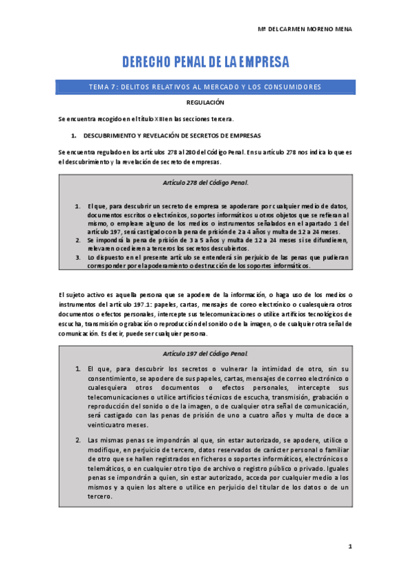 DERECHO-PENAL-DE-LA-EMPRESA-PROFESORA-SARA-ELVIRA.pdf