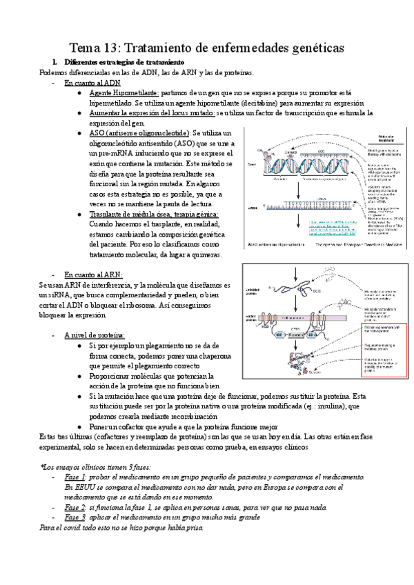 Tema-13-Tratamiento-de-enfermedades-geneticas.pdf