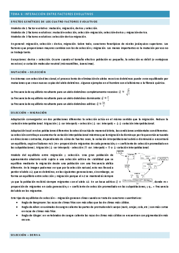 Tema-6.pdf