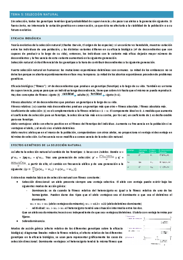Tema-5.pdf