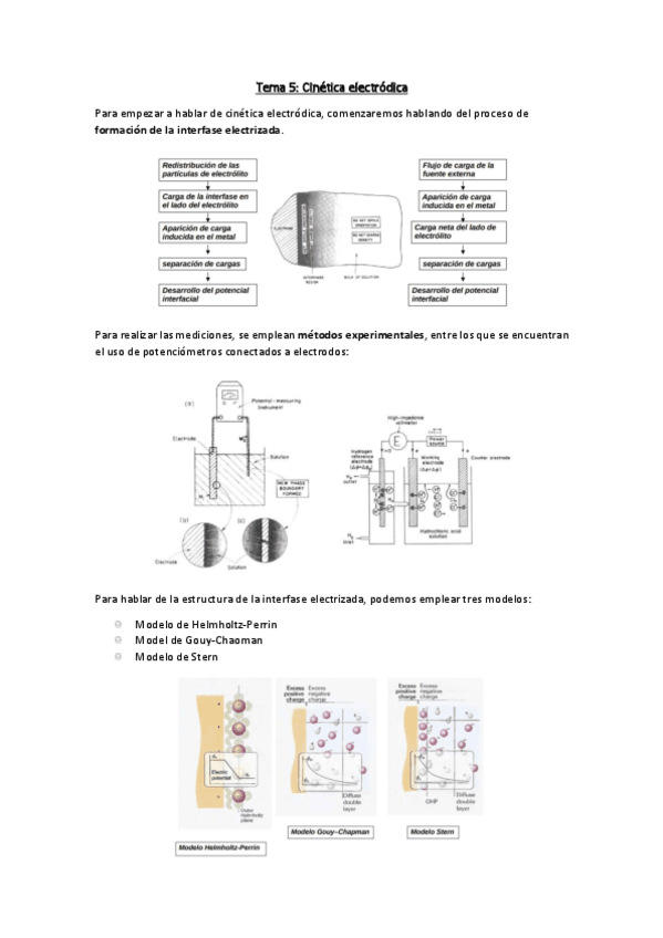 T5CiCa.pdf