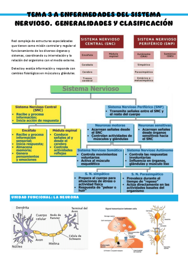 Patologia-medica-general-T3-Enfermedades-del-sistema-nervioso.pdf