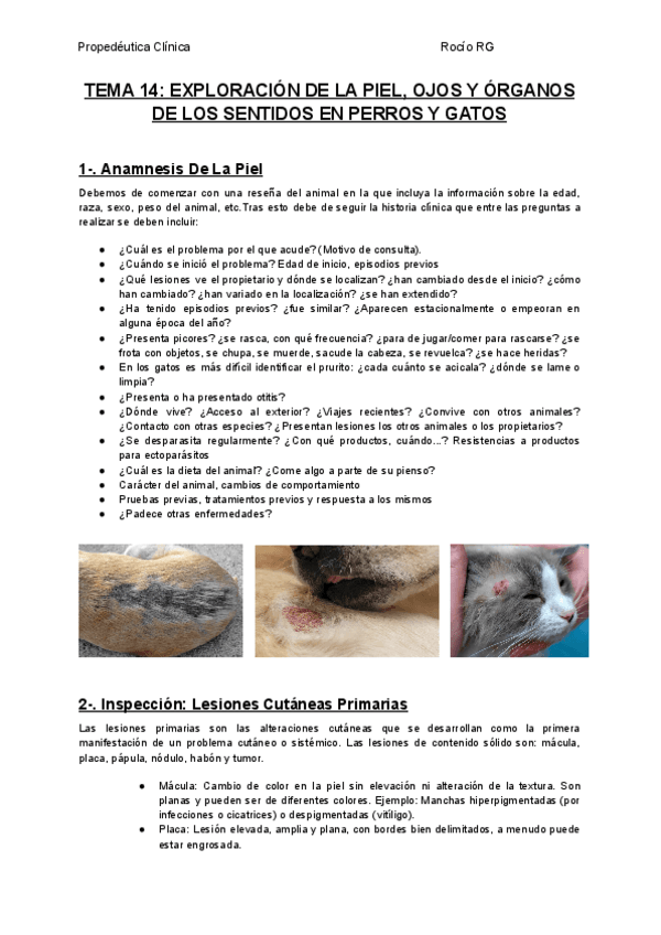 TEMA-14-EXPLORACION-DE-LA-PIEL-OJOS-Y-ORGANOS-DE-LOS-SENTIDOS-EN-PERROS-Y-GATOS.pdf