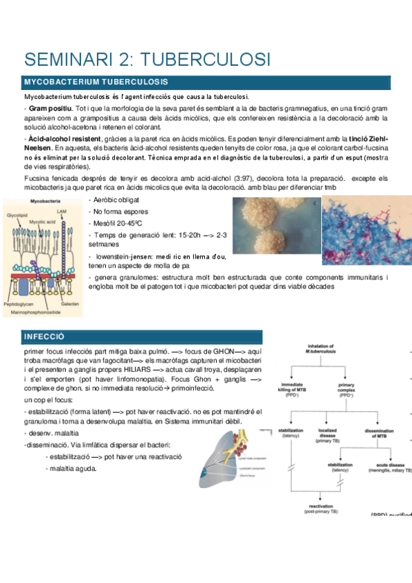 seminari-tuberculosi.pdf