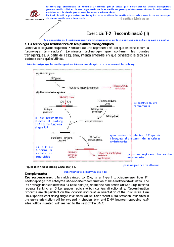 Exercicis-T2II-resolt.pdf