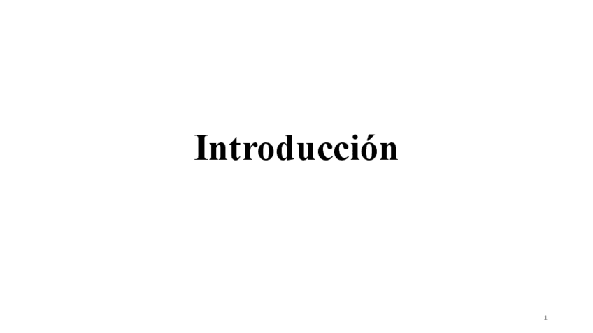 Introduccion.pdf