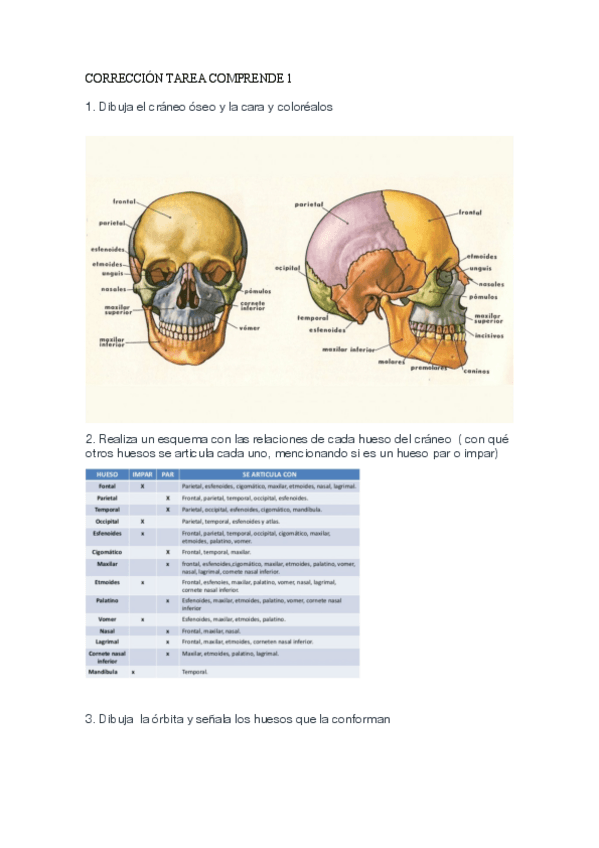 Ejercicios-de-comprende.pdf