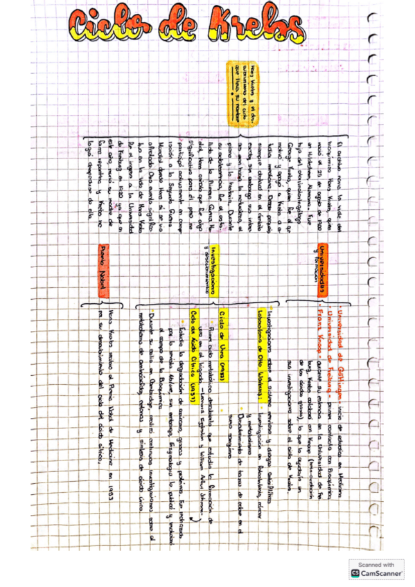 Ciclo-de-Krebs-Bioquimica-II.pdf