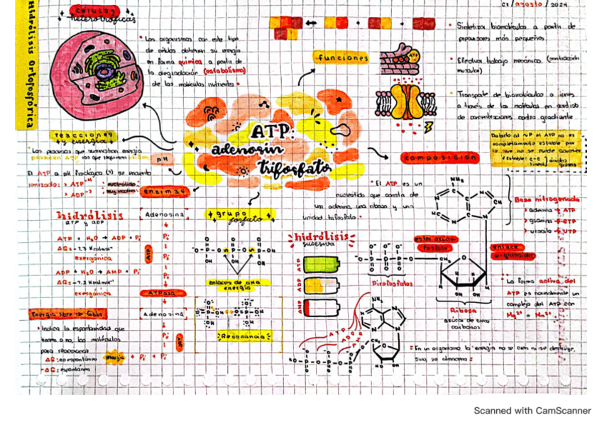ATP-Bioquimica-II.pdf