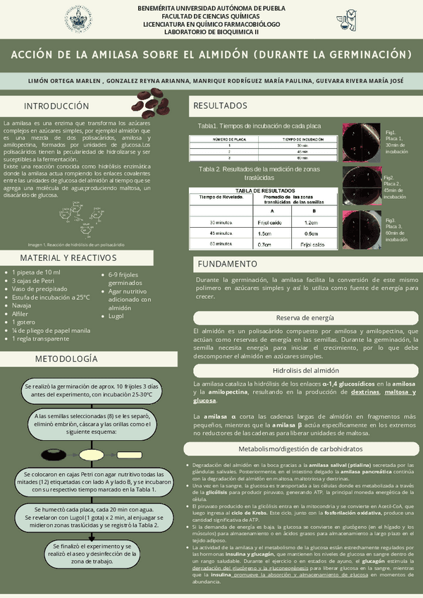 Cartel-2-Bioquimica-LAB-II.pdf