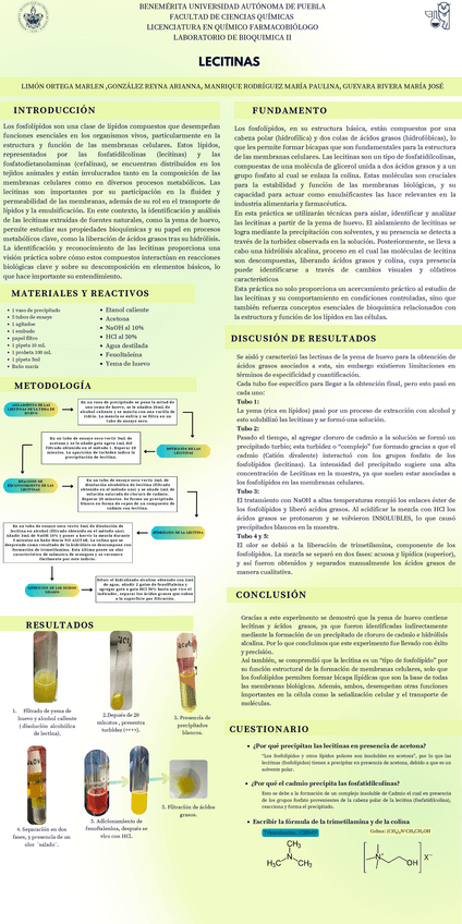 Cartel-4BQIILABEQUIPO-2.pdf.pdf