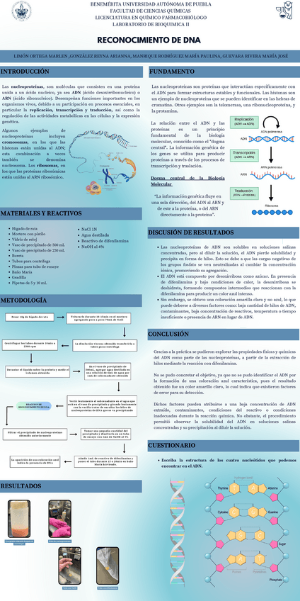 Cartel-08-Bioquimica-LAB-II.pdf