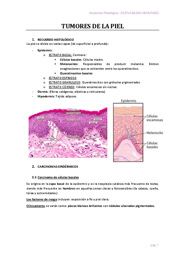 TUMORES-DE-LA-PIEL.pdf