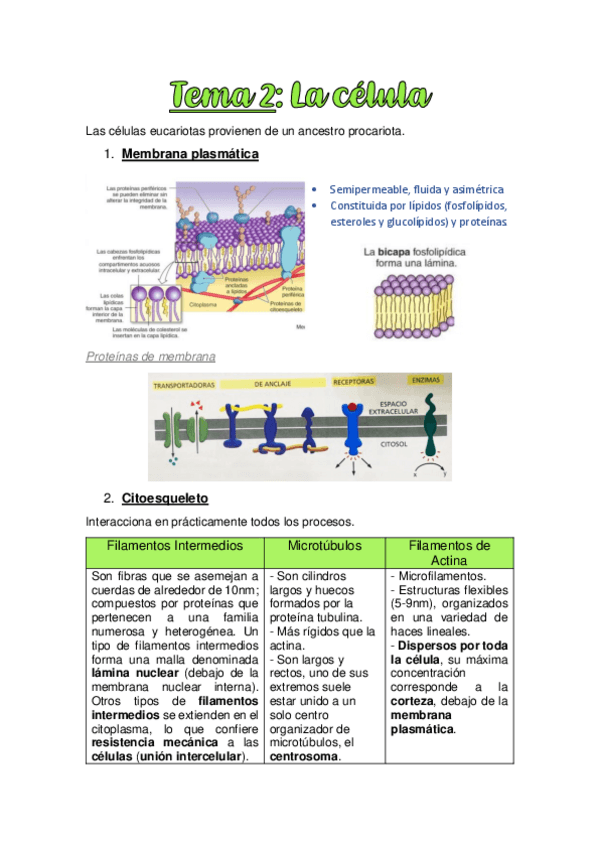 TEMA-2.-LA-CELULA.pdf