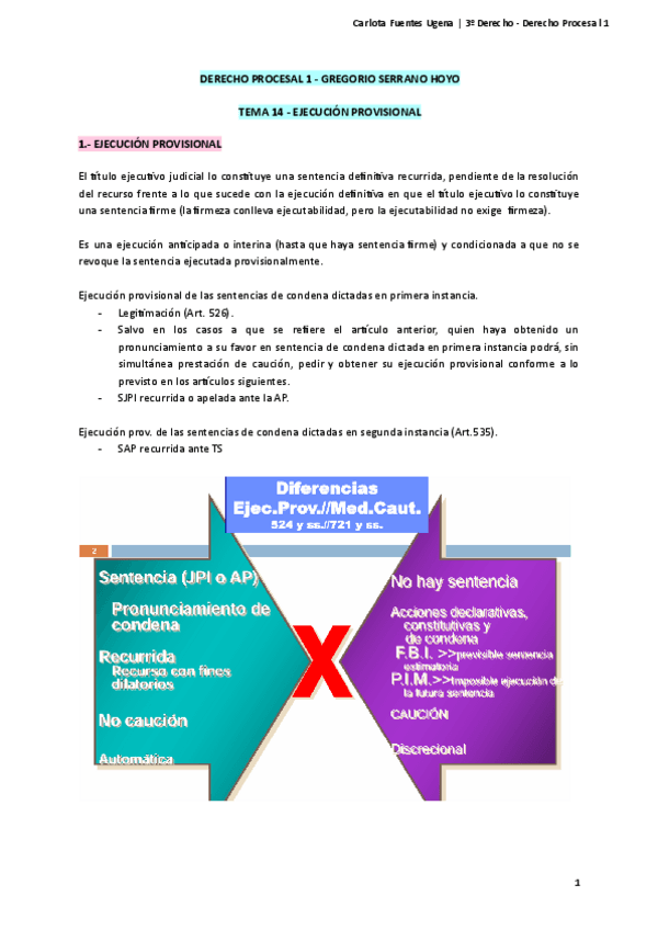Tema-14-Derecho-Procesal-1.pdf
