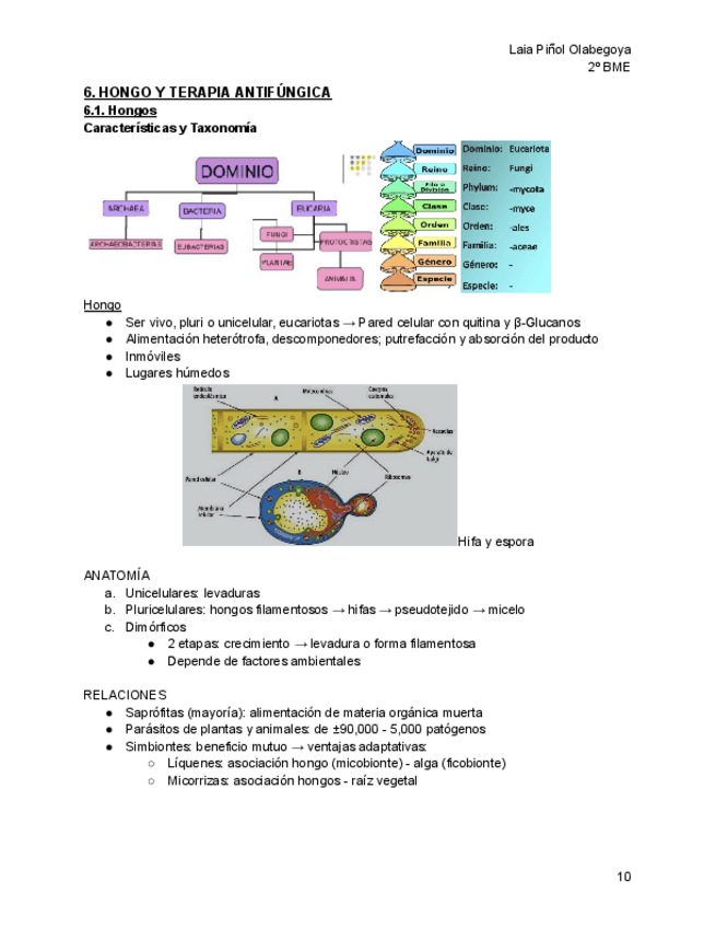 Hongos-T6-T8.pdf