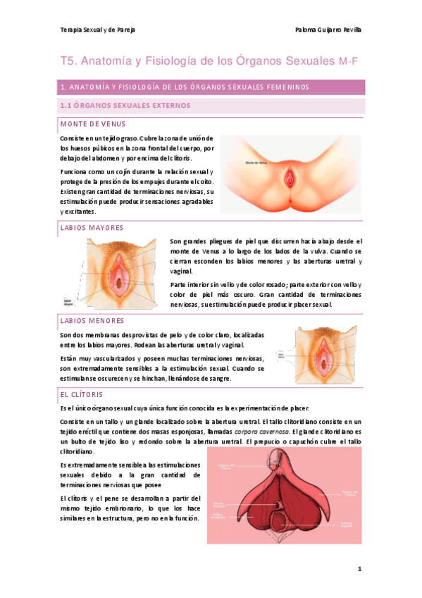 T5.-Anatomia-y-Fisiologia-de-los-Organos-Sexuales-M-F.pdf