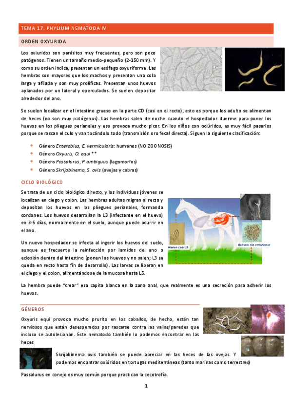TEMA-17-18-PARA.pdf