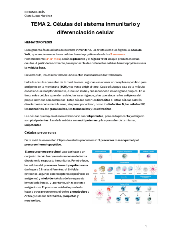 TEMA-2.pdf