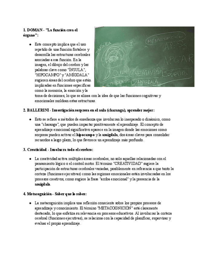 Imagen-cerebro.pdf