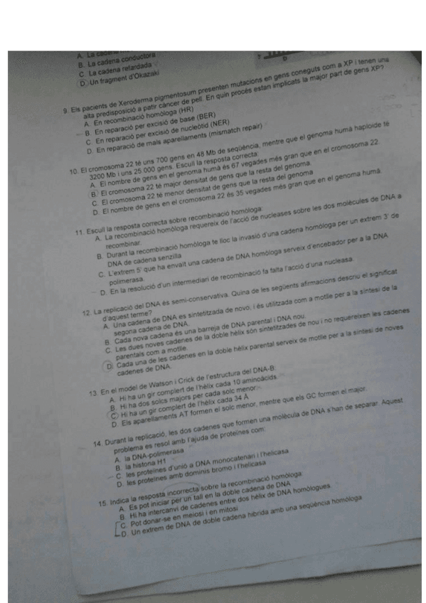 EXAMEN-GENETICA.pdf
