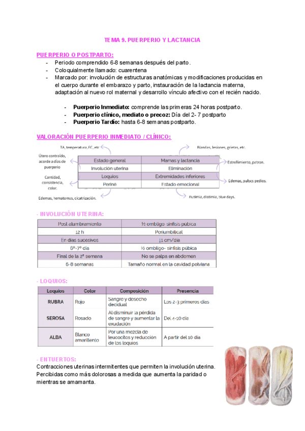 TEMA-9.-PUERPERIO-Y-LACTANCIA-7.pdf