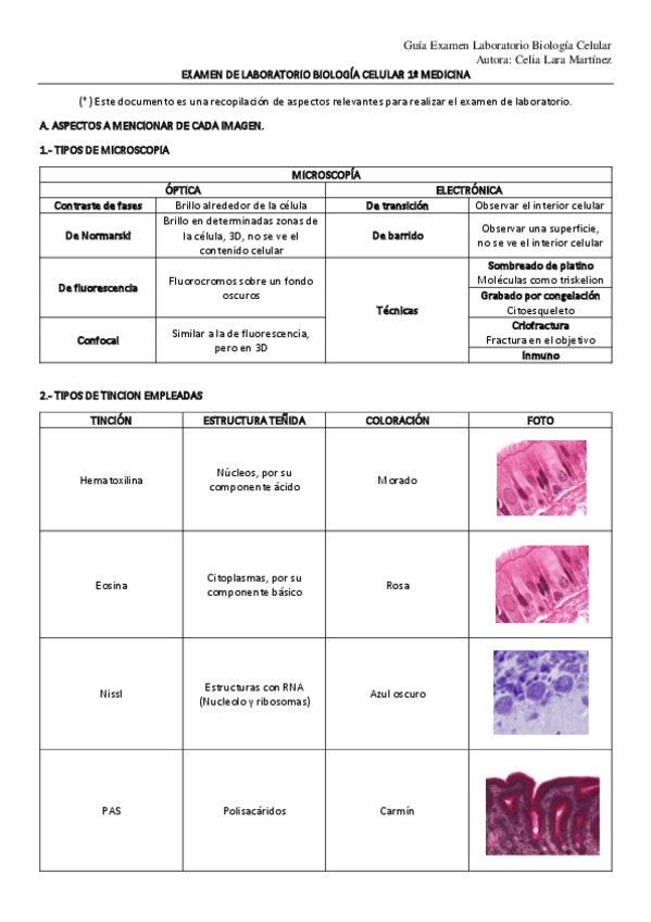 Guia-examen-de-laboratorio.pdf