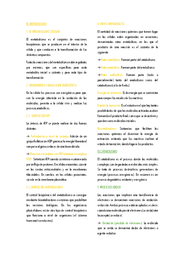 Metabolismo-catabolismo-y-anabolismo.pdf