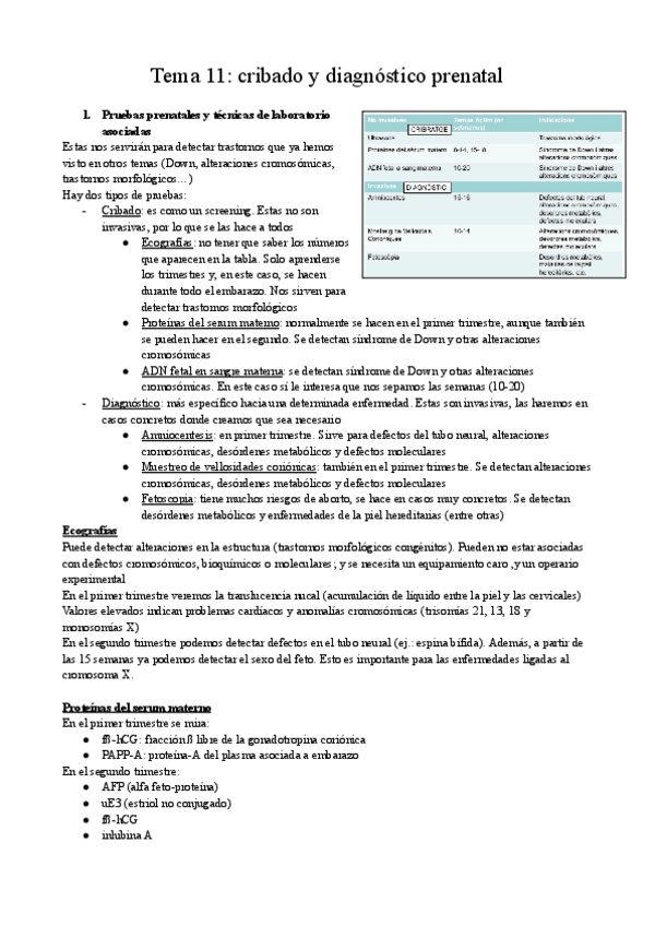 Tema-11-cribado-y-diagnostico-prenatal.pdf