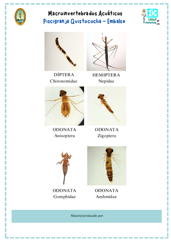 CATALOGO-MACROINVERTEBRADOS-ACUATICOS.pdf