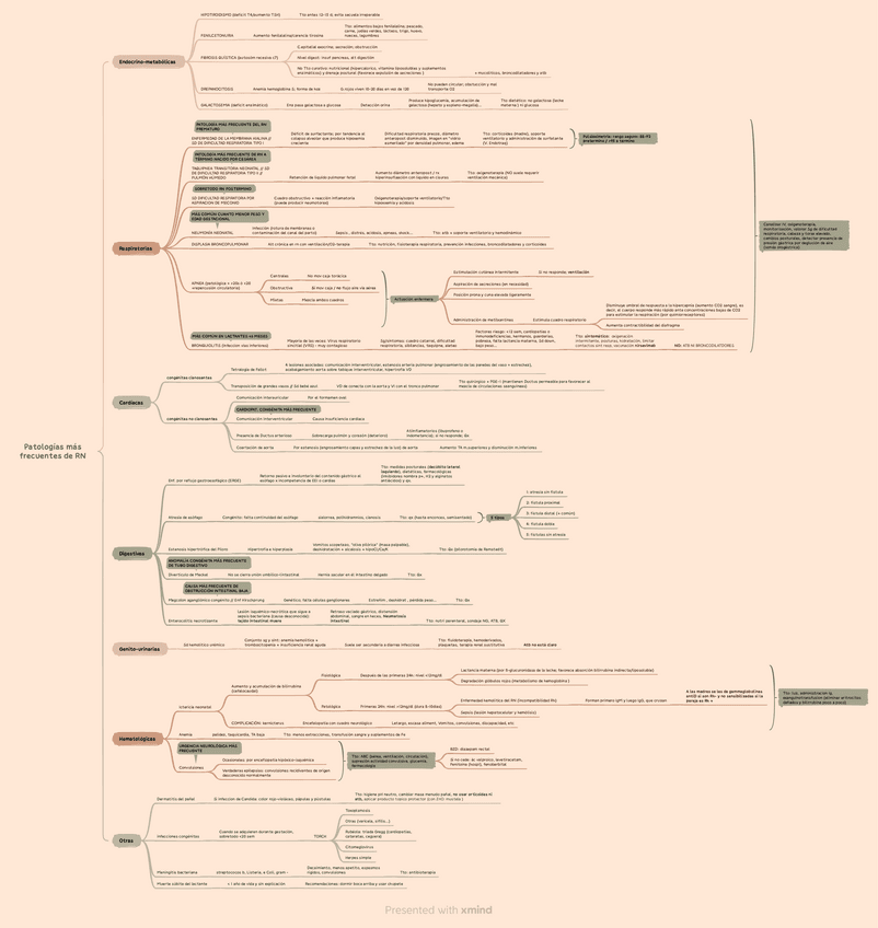 Patologias-mas-frecuentes-rn.pdf