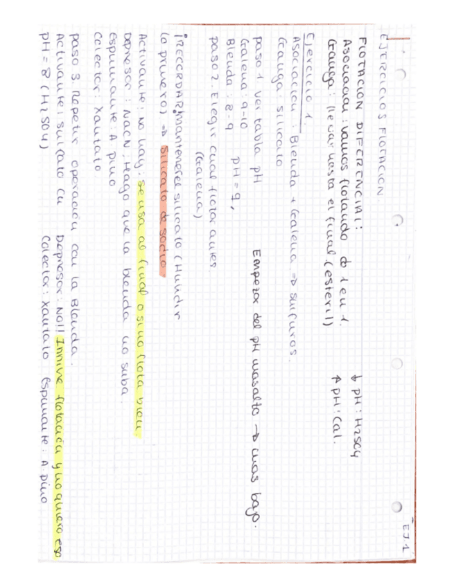 EJERS-FLOTACION-EXAMEN-TEMA8.pdf
