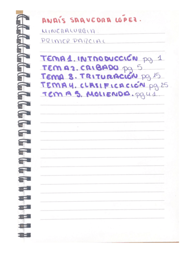 TEORIA-MINERALURGIA-PRIMER-PARCIAL-TEMAS12345.pdf