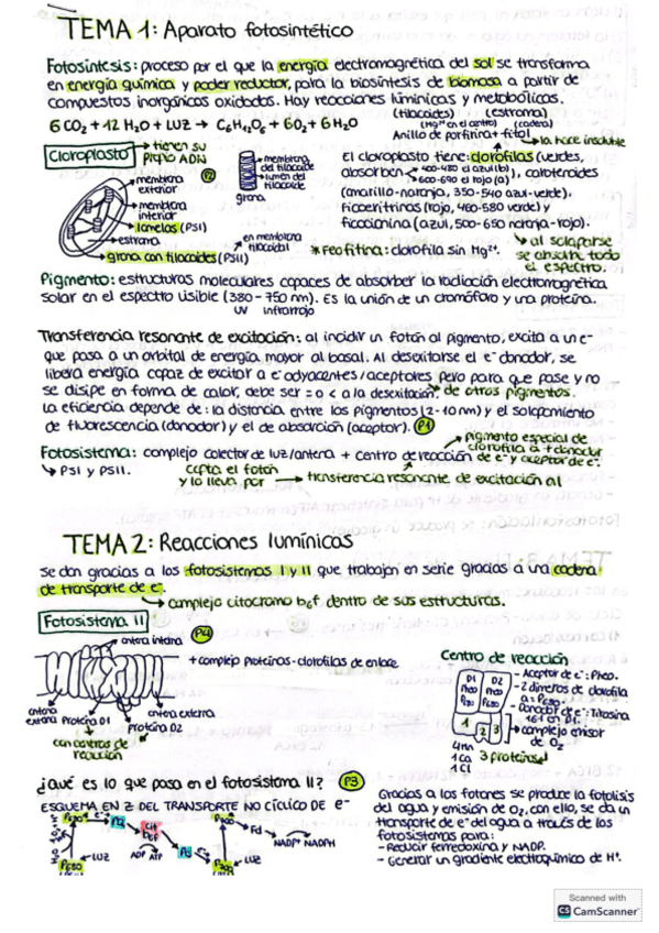 Apuntes-completos-fisiologia-vegetal.pdf