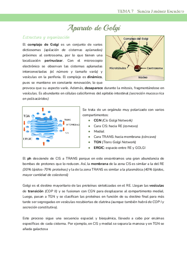 Tema-7-Golgi.pdf