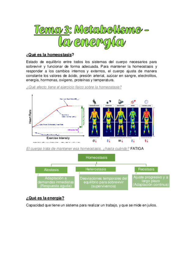 TEMA-3.-METABOLISMO-LA-ENERGIA.pdf